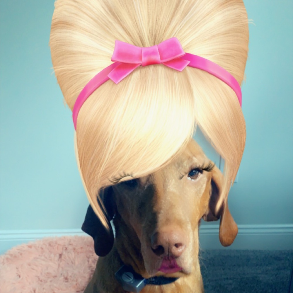 Meet your Posher, Samantha